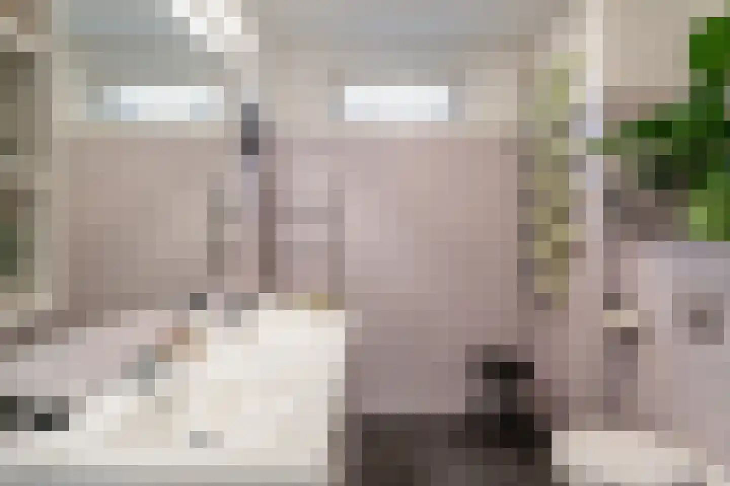 Gravenland 10 Diemen thumbnail 24