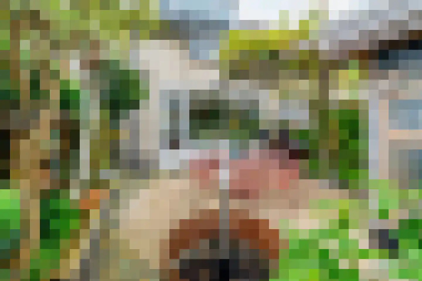 Gravenland 10 Diemen thumbnail 34