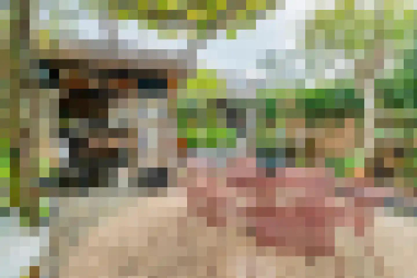 Gravenland 10 Diemen thumbnail 35