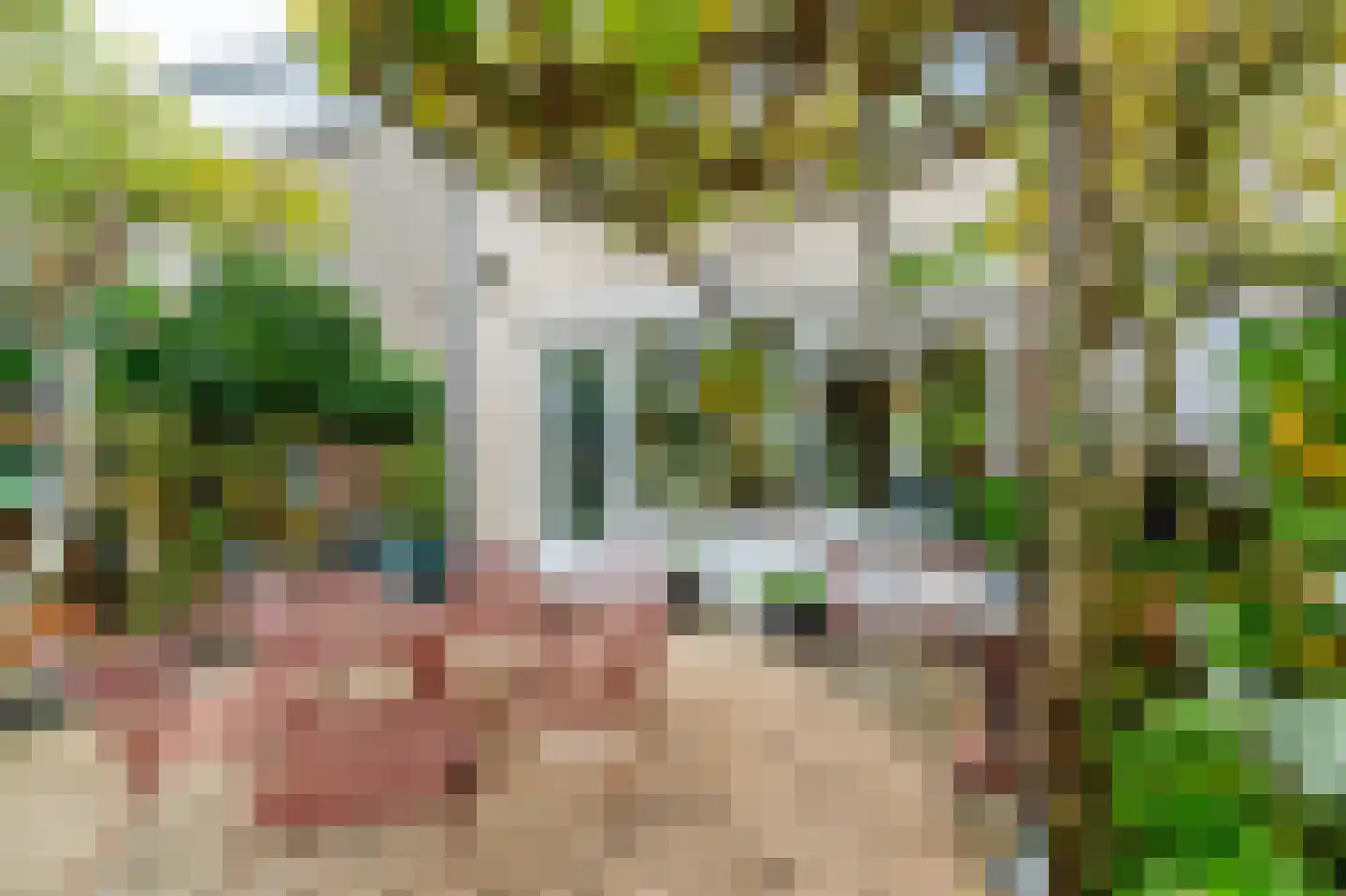 Gravenland 10 Diemen thumbnail 36