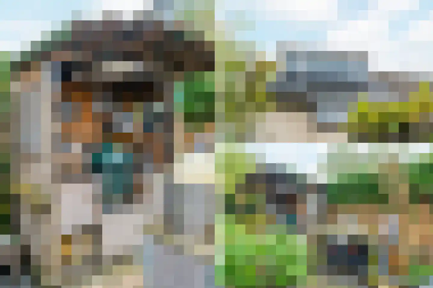 Gravenland 10 Diemen thumbnail 40