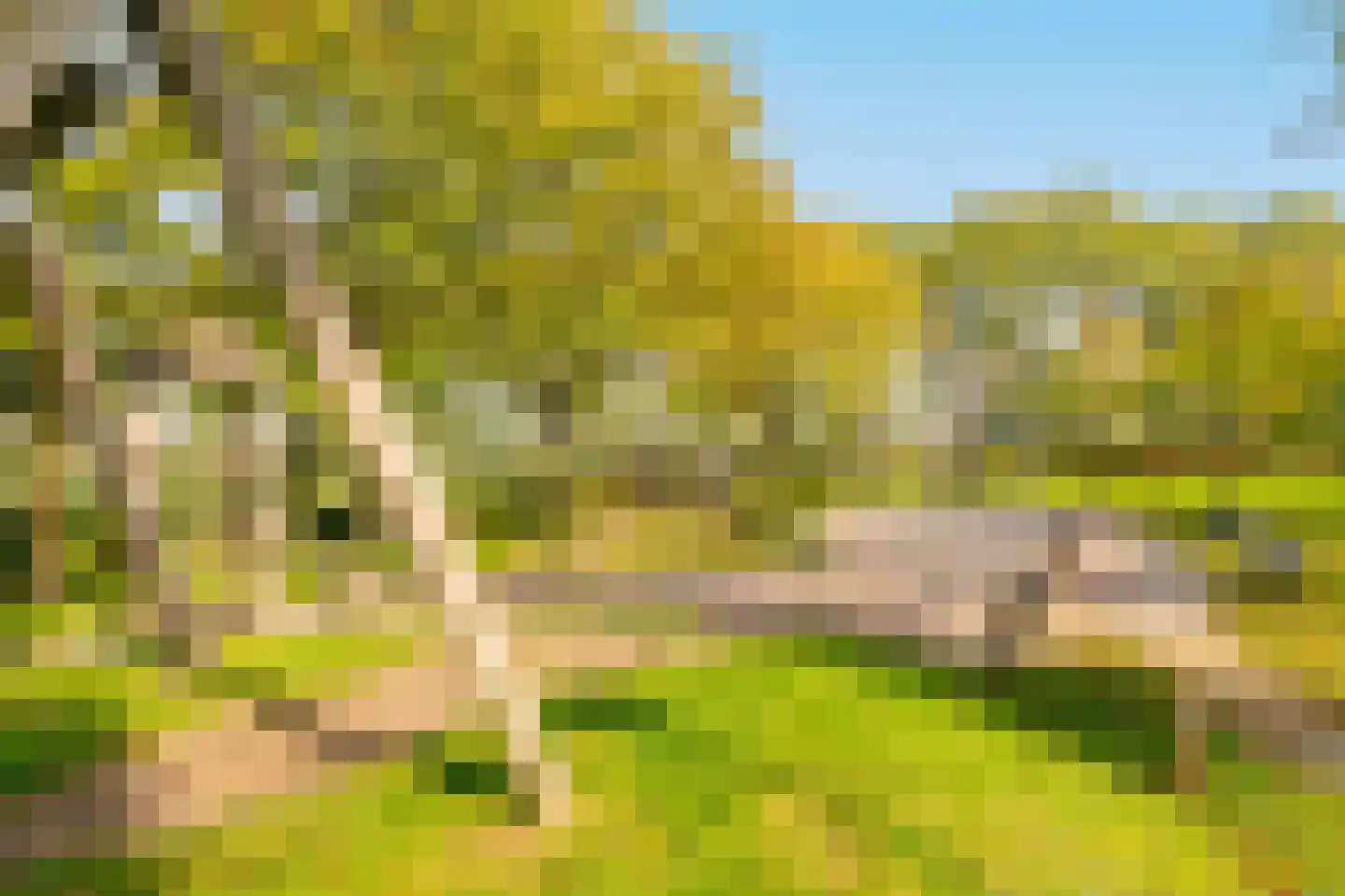 Gravenland 10 Diemen thumbnail 51