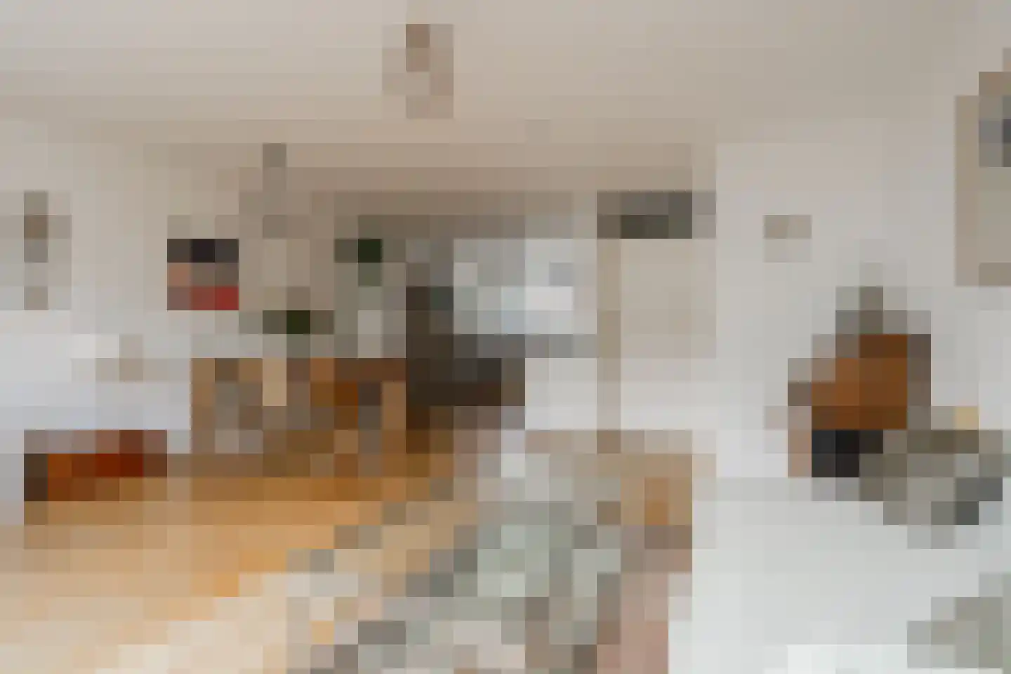 Gravenland 2 Diemen thumbnail 10