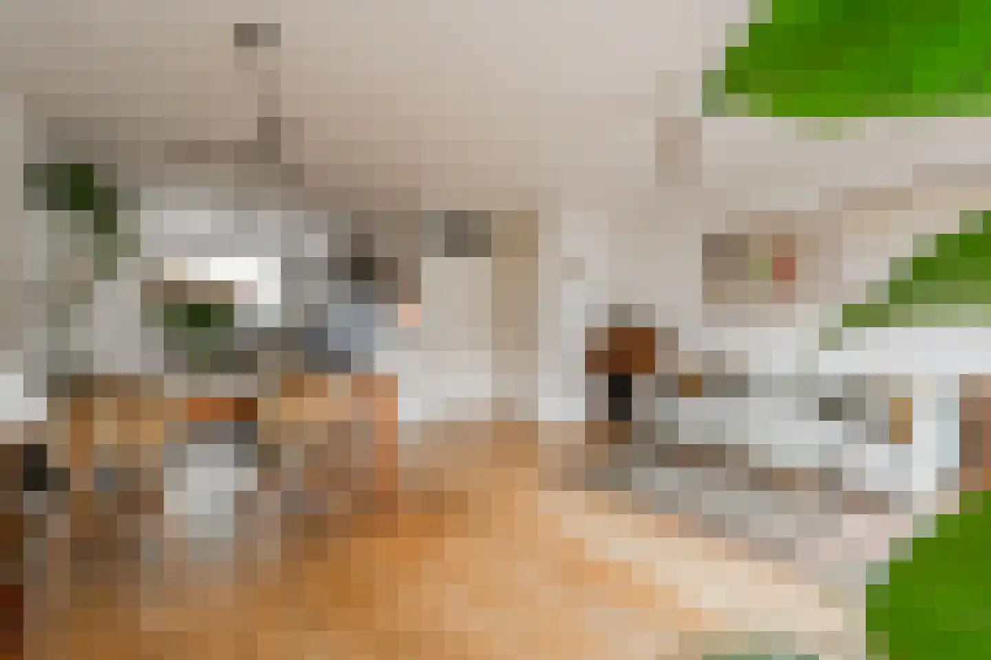 Gravenland 2 Diemen thumbnail 15
