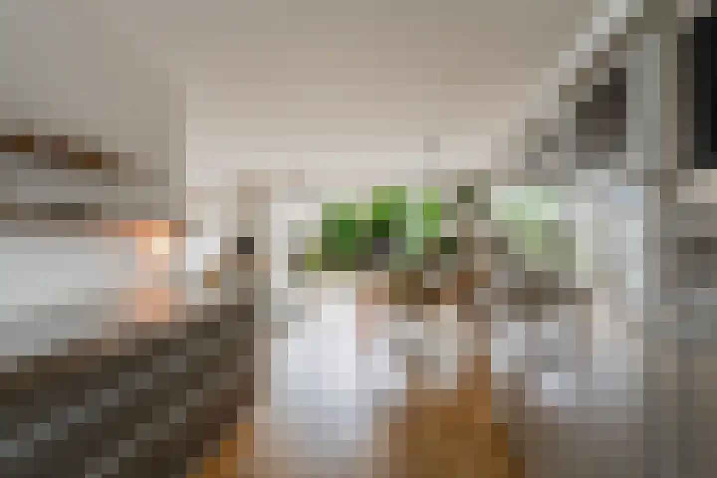 Gravenland 2 Diemen thumbnail 22