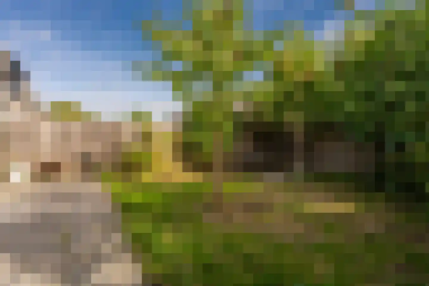 Gravenland 2 Diemen thumbnail 24