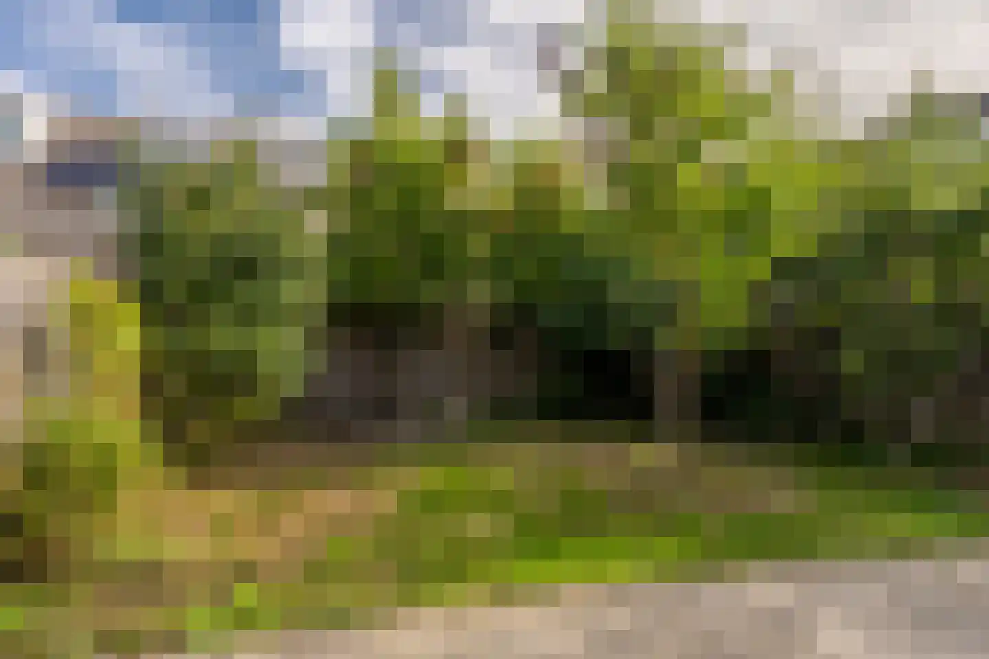 Gravenland 2 Diemen thumbnail 25