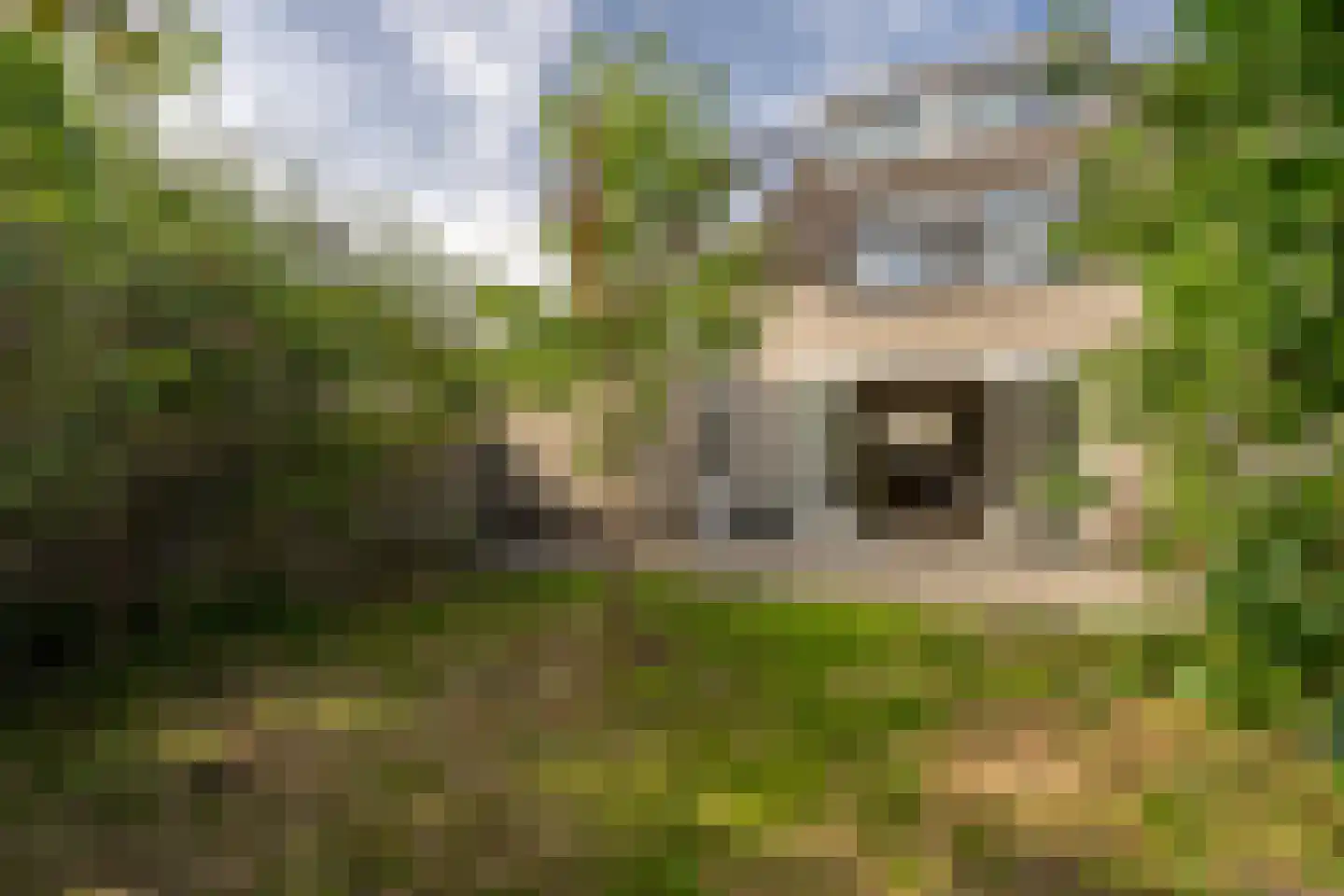 Gravenland 2 Diemen thumbnail 27