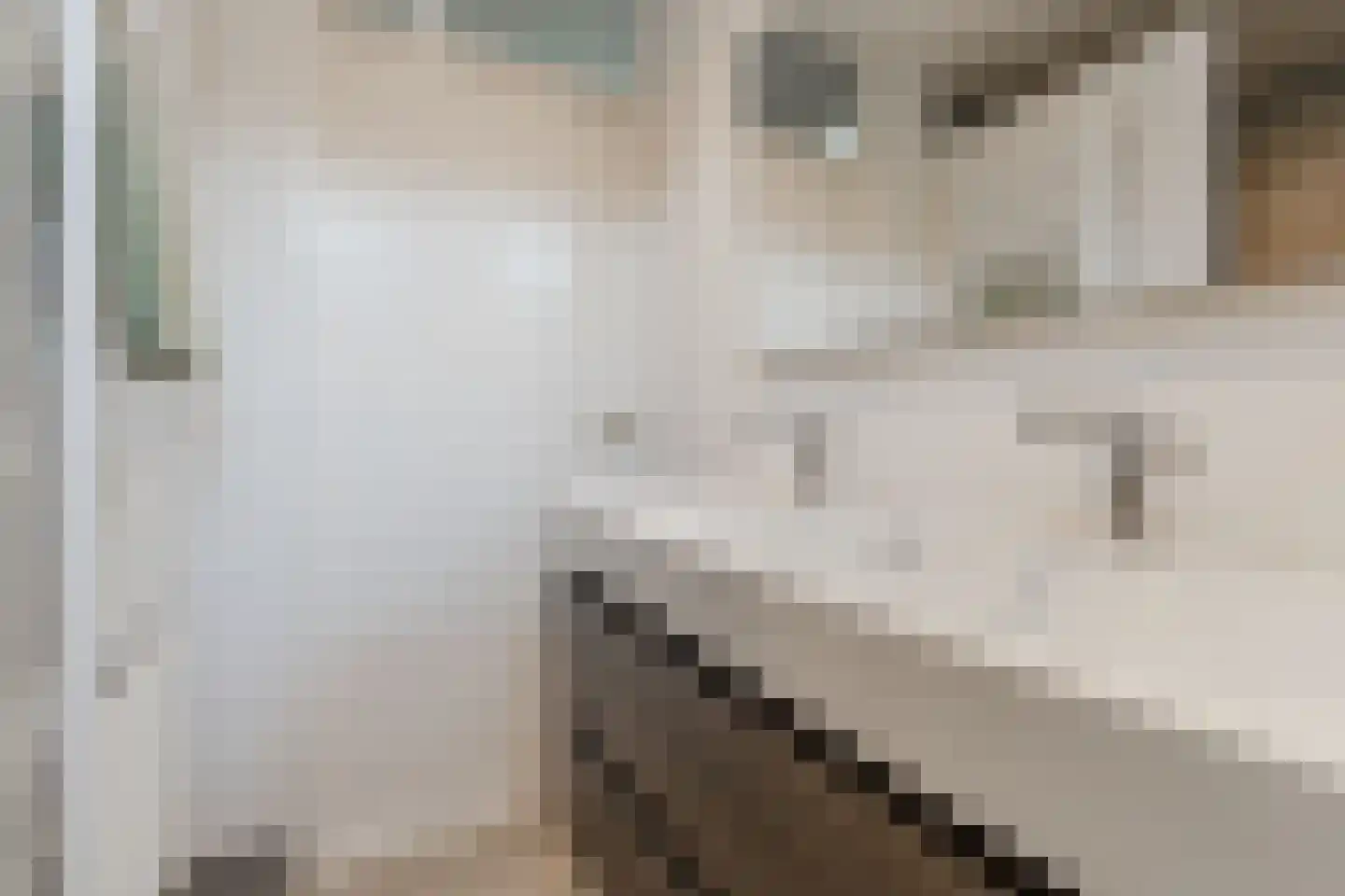 Gravenland 2 Diemen thumbnail 37