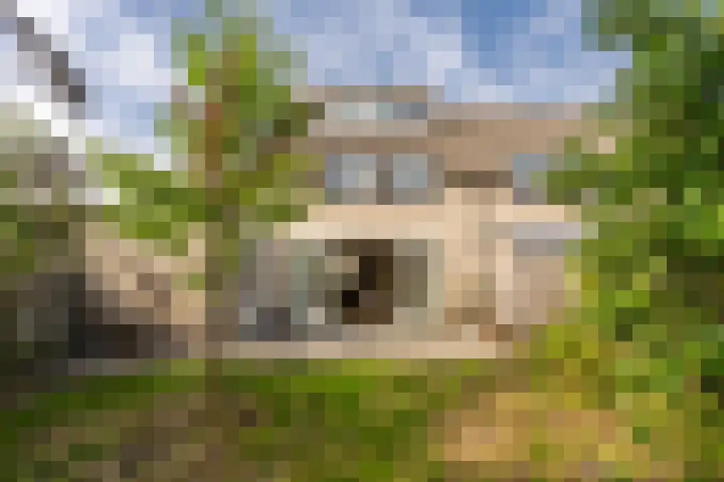 Gravenland 2 Diemen thumbnail 4