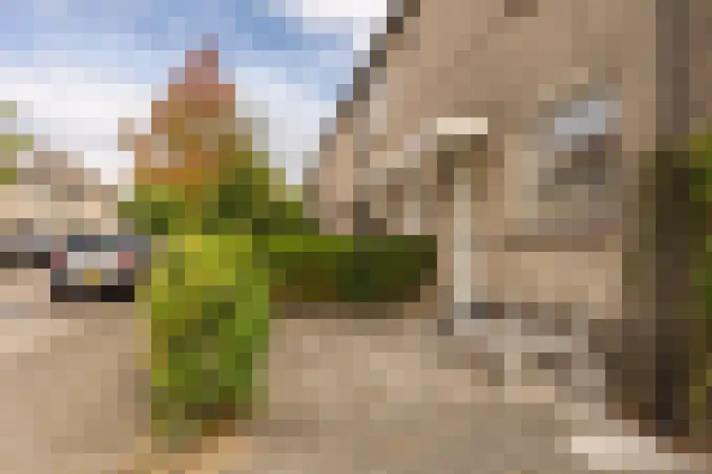 Gravenland 2 Diemen thumbnail 47