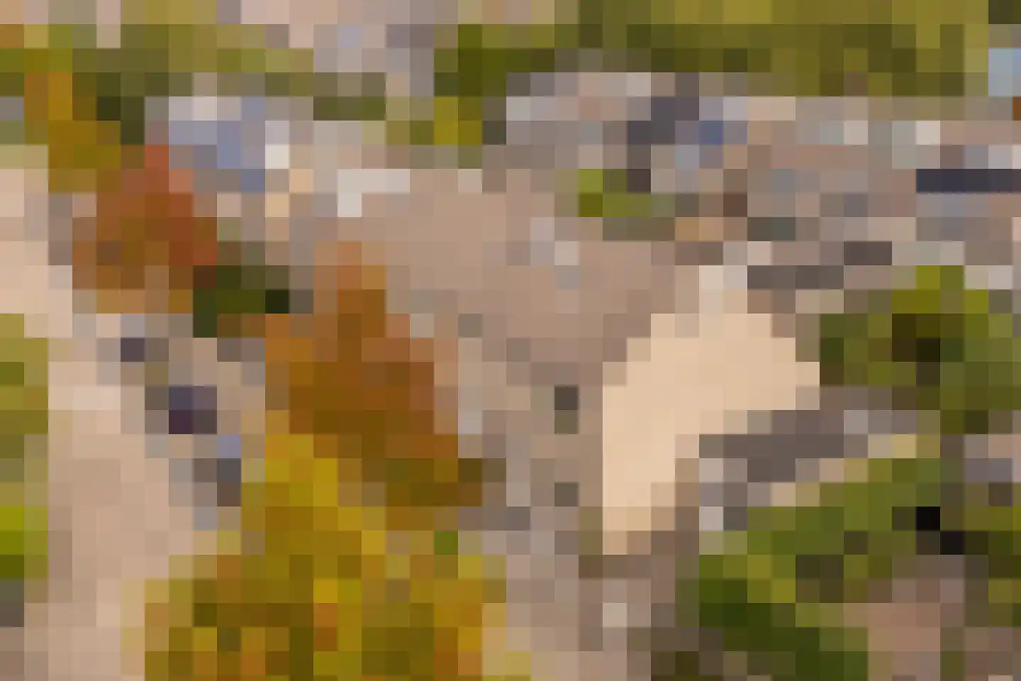 Gravenland 2 Diemen thumbnail 50