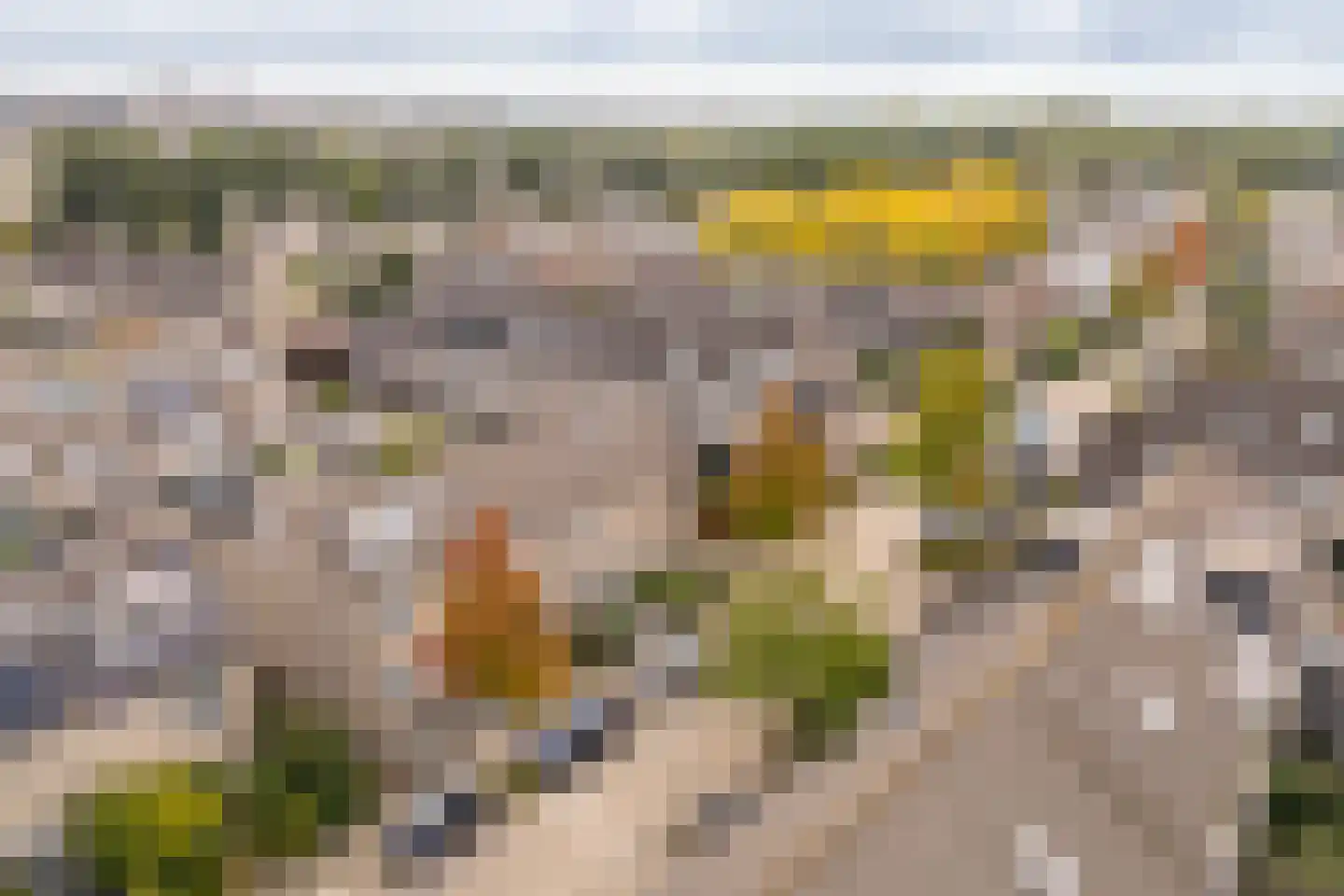 Gravenland 2 Diemen thumbnail 51