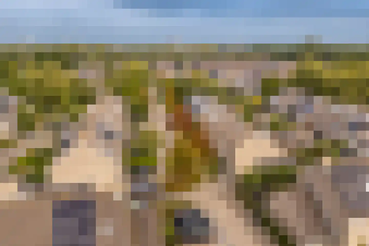 Gravenland 2 Diemen thumbnail 52