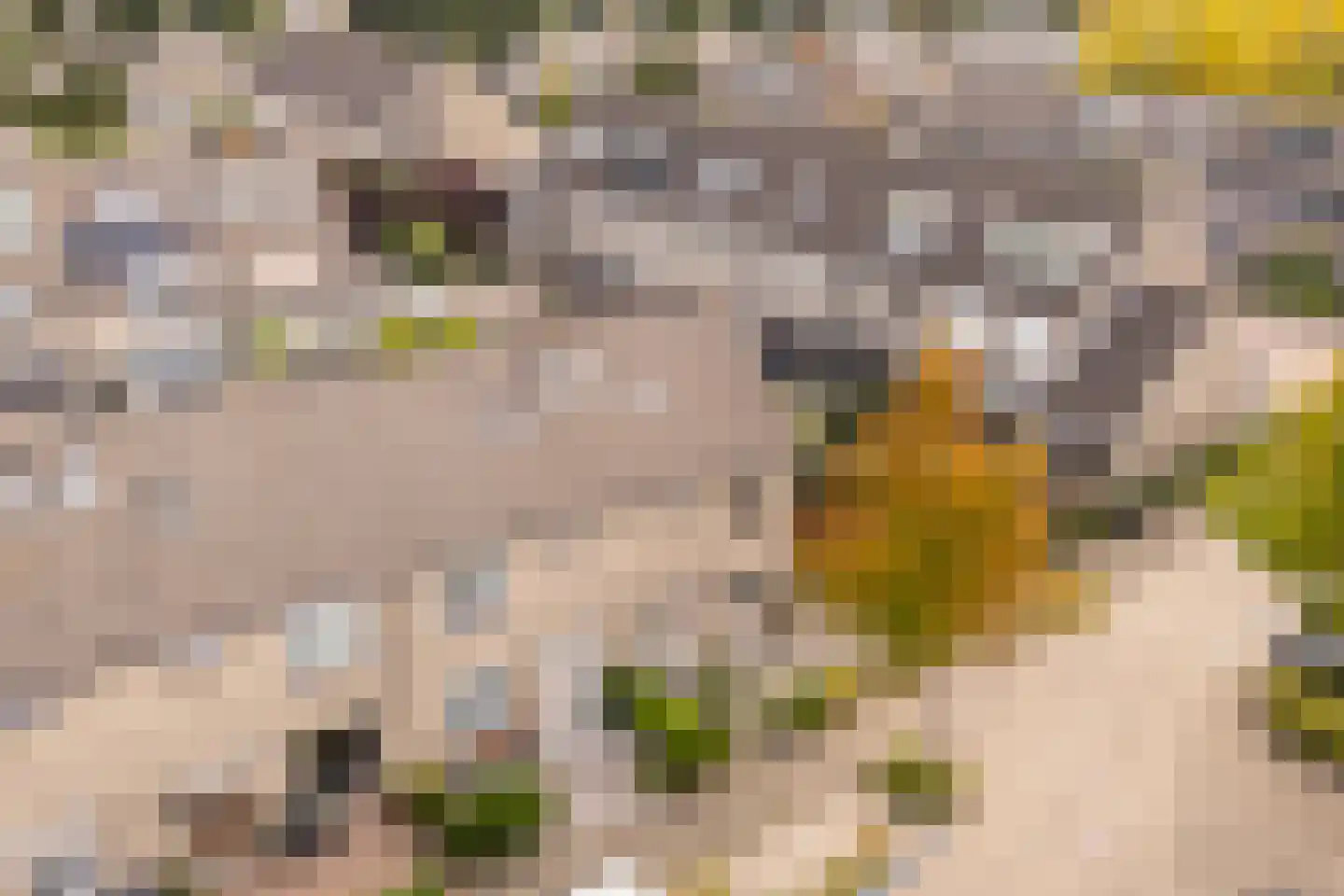 Gravenland 2 Diemen thumbnail 7