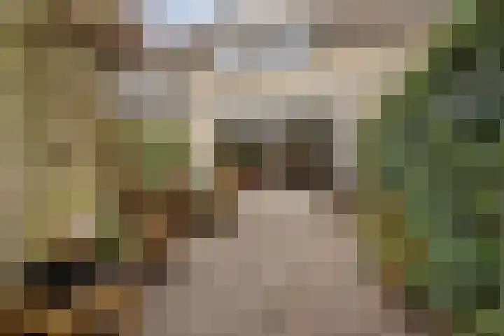 Gravenland 38 Diemen thumbnail 31