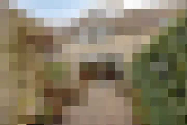 Gravenland 38 Diemen thumbnail 32