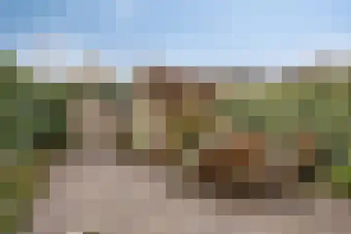 Gravenland 38 Diemen thumbnail 33