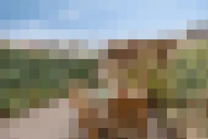 Gravenland 38 Diemen thumbnail 34