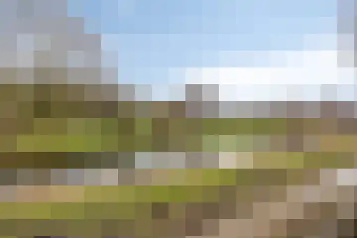 Gravenland 38 Diemen thumbnail 36