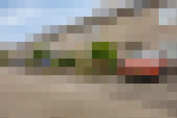 Gravenland 38 Diemen thumbnail 4