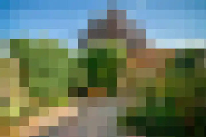 Gravenland 44 Diemen thumbnail 10