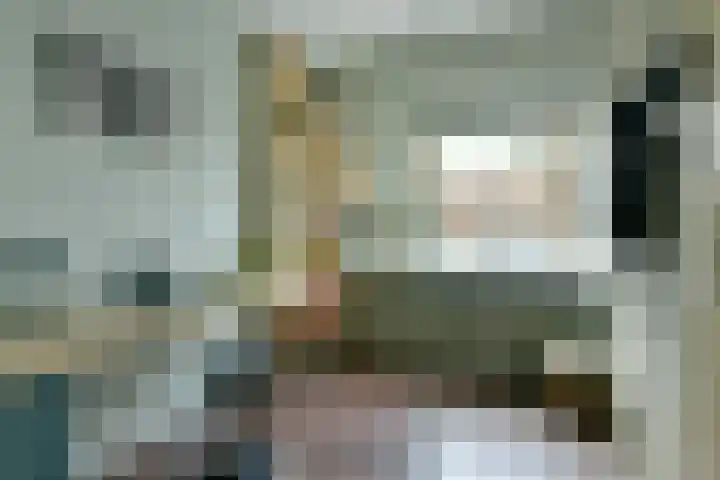 Gravenland 44 Diemen thumbnail 13