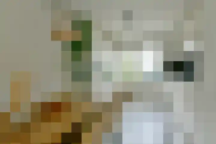 Gravenland 44 Diemen thumbnail 5