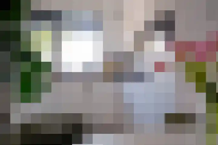 Gravenlanden 33 Assen thumbnail 23