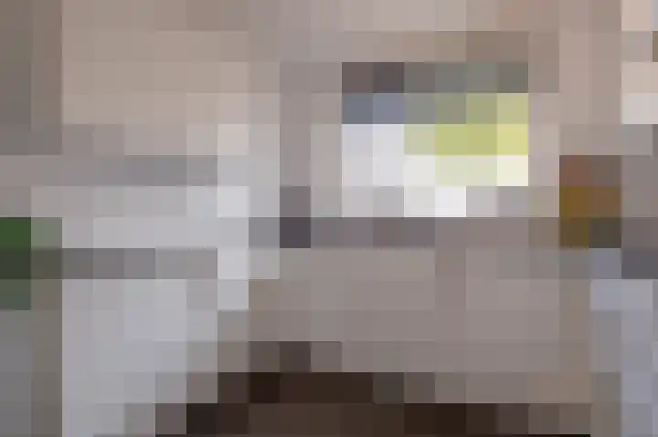 Gravenlanden 33 Assen thumbnail 26