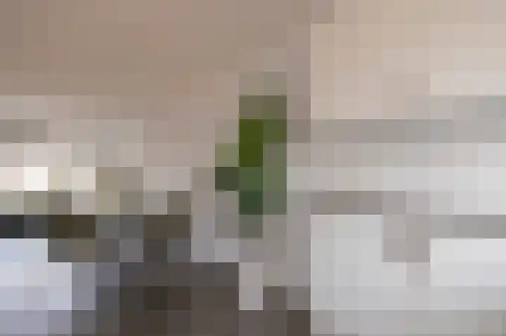 Gravenlanden 33 Assen thumbnail 27
