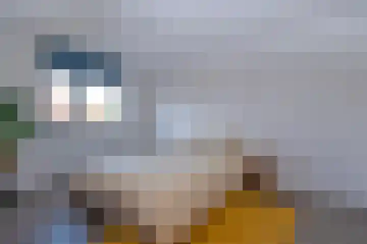 Gravenlanden 33 Assen thumbnail 32