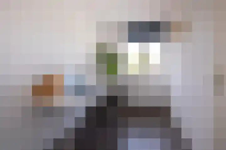 Gravenlanden 33 Assen thumbnail 34