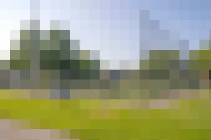 Gravenlanden 33 Assen thumbnail 52