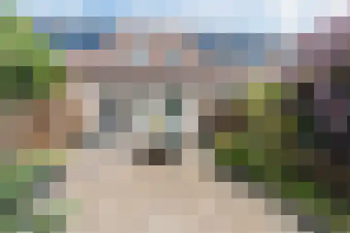 Gravenlanden 5 Assen thumbnail 37