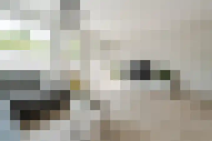Gravenlanden 5 Assen thumbnail 5