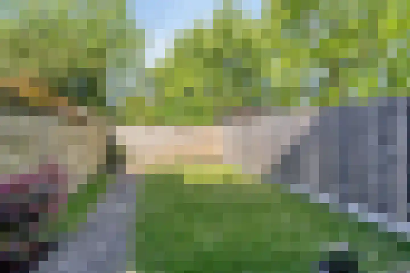 Gravenlanden 93 Assen thumbnail 28