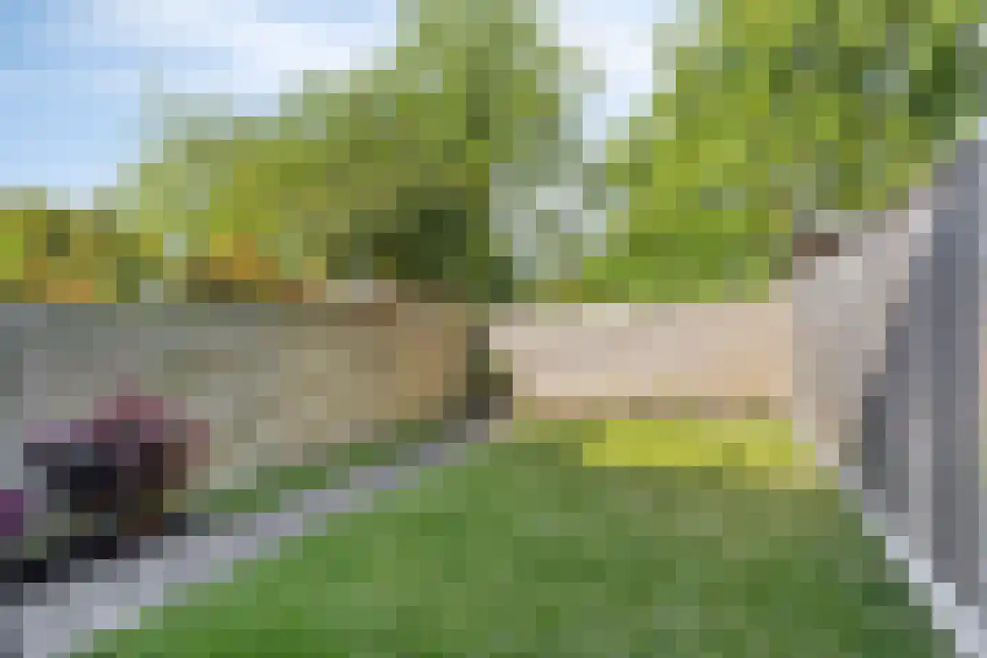 Gravenlanden 93 Assen thumbnail 29