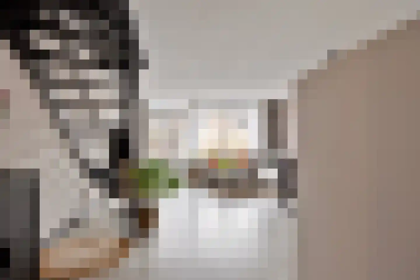 Gravenmade 10 Pijnacker thumbnail 11