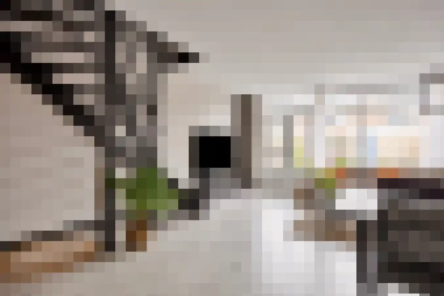 Gravenmade 10 Pijnacker thumbnail 12