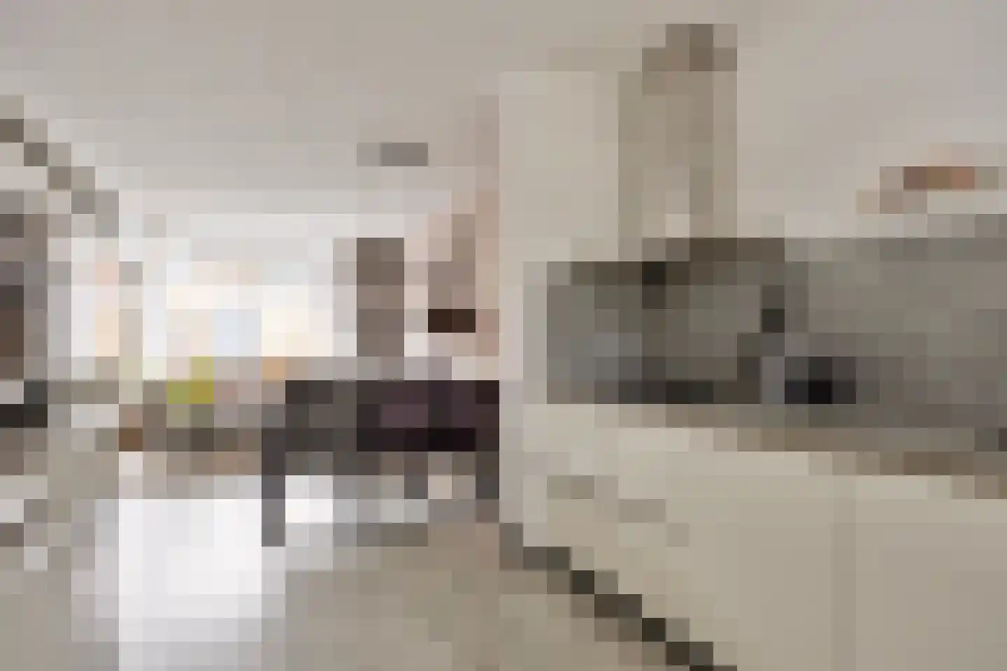 Gravenmade 10 Pijnacker thumbnail 17