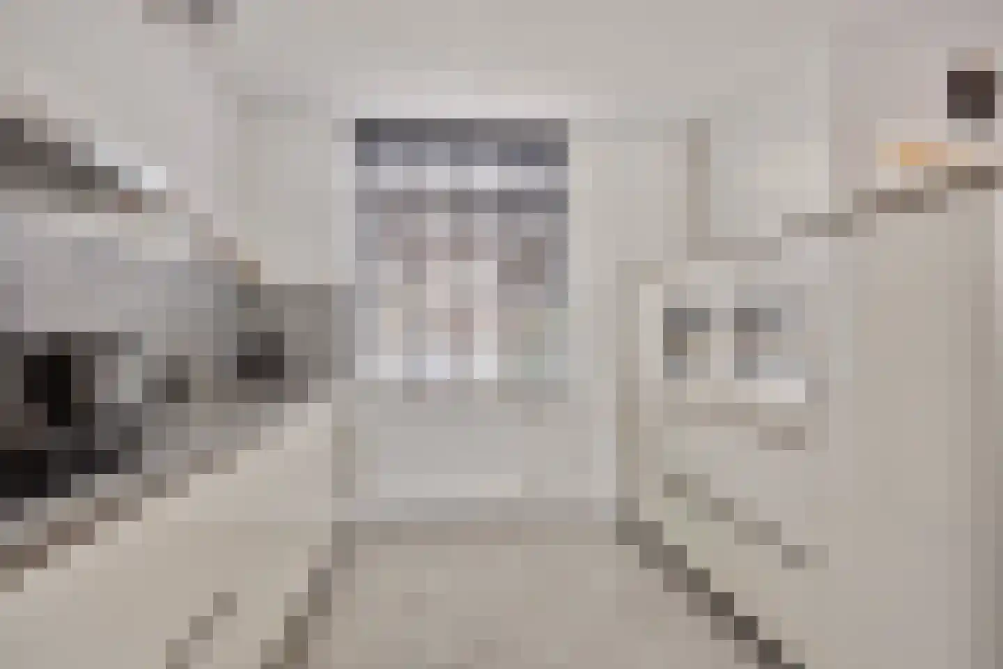 Gravenmade 10 Pijnacker thumbnail 19