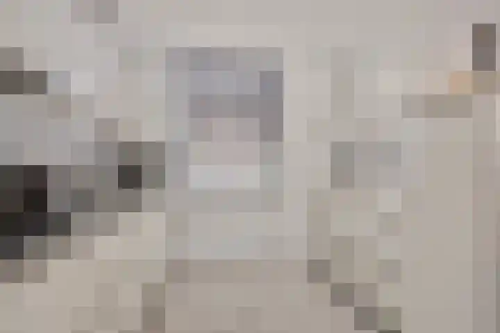 Gravenmade 10 Pijnacker thumbnail 19