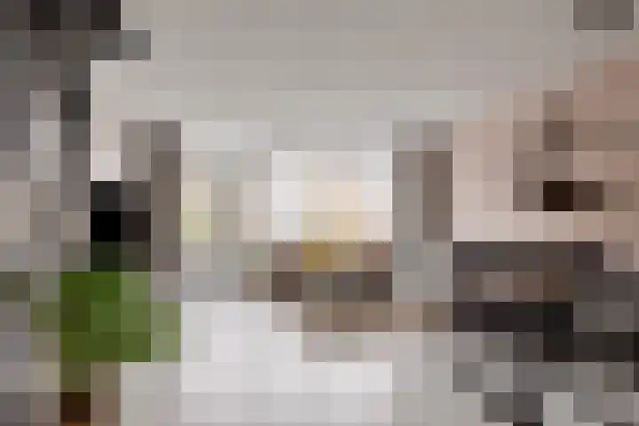 Gravenmade 10 Pijnacker foto 2