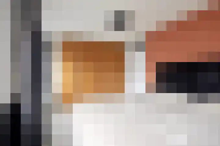 Gravenmade 10 Pijnacker thumbnail 23