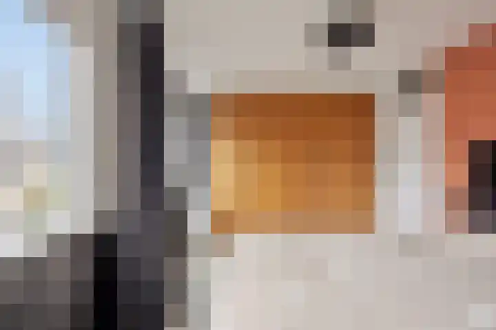 Gravenmade 10 Pijnacker thumbnail 24