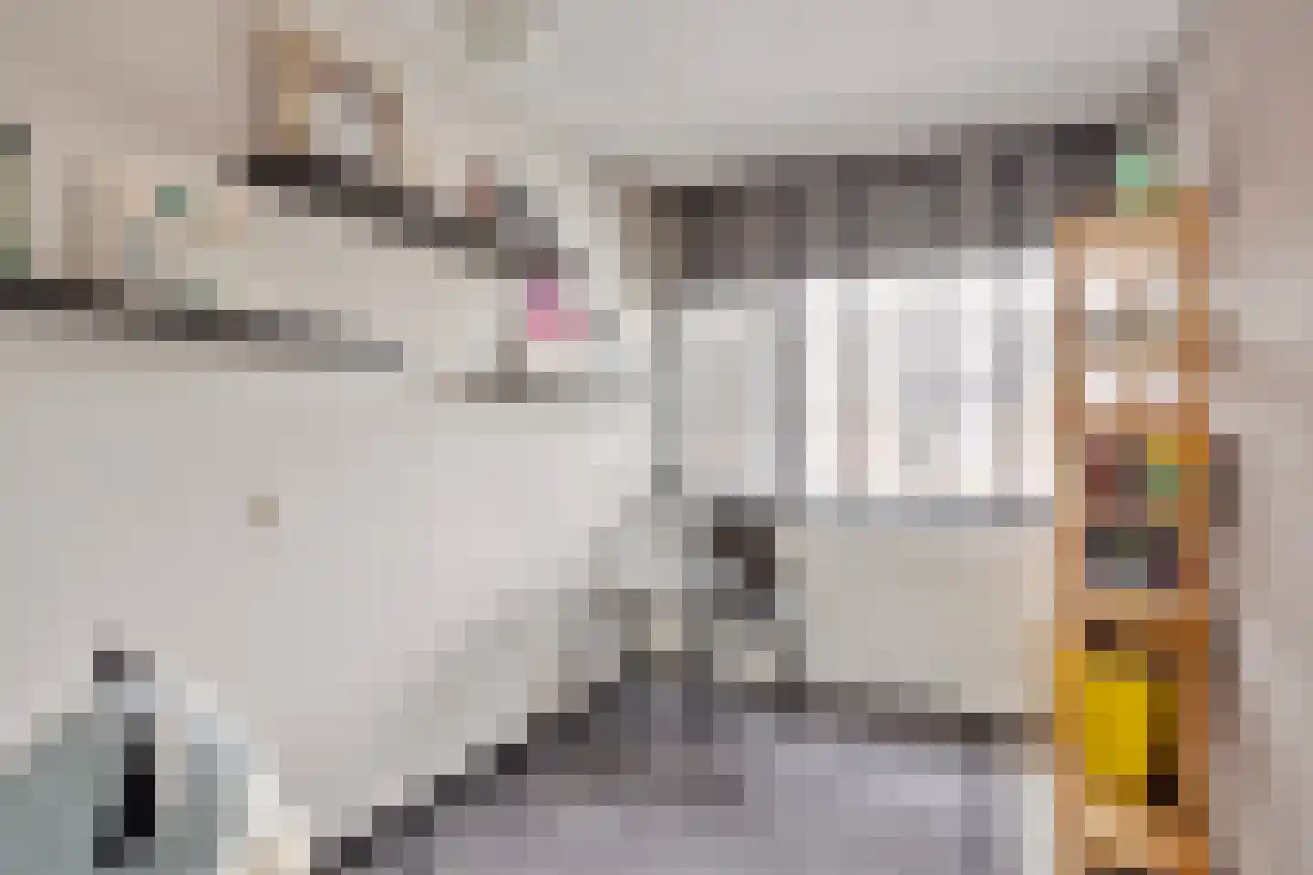 Gravenmade 10 Pijnacker thumbnail 30