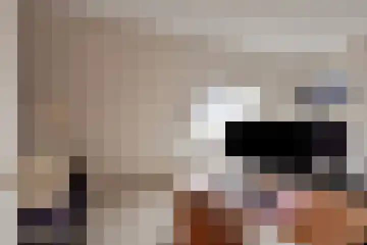 Gravenmade 10 Pijnacker thumbnail 34