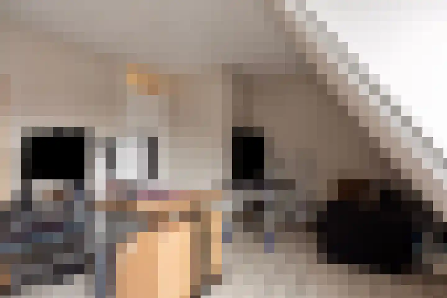 Gravenmade 10 Pijnacker thumbnail 35