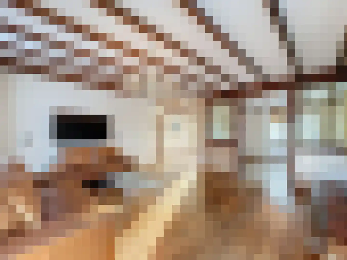 Gravenmade 10 Pijnacker thumbnail 36